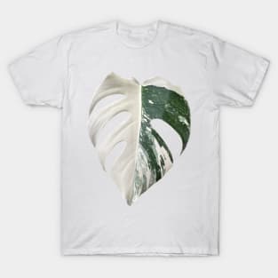 Marbled Monstera Albo Finestrated Design T-Shirt